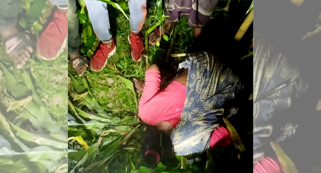 ঘাস কাটতে গিয়ে বাড়ি ফেরা হলো না রহিমার, ভুট্টাক্ষেতে মিলল লাশ